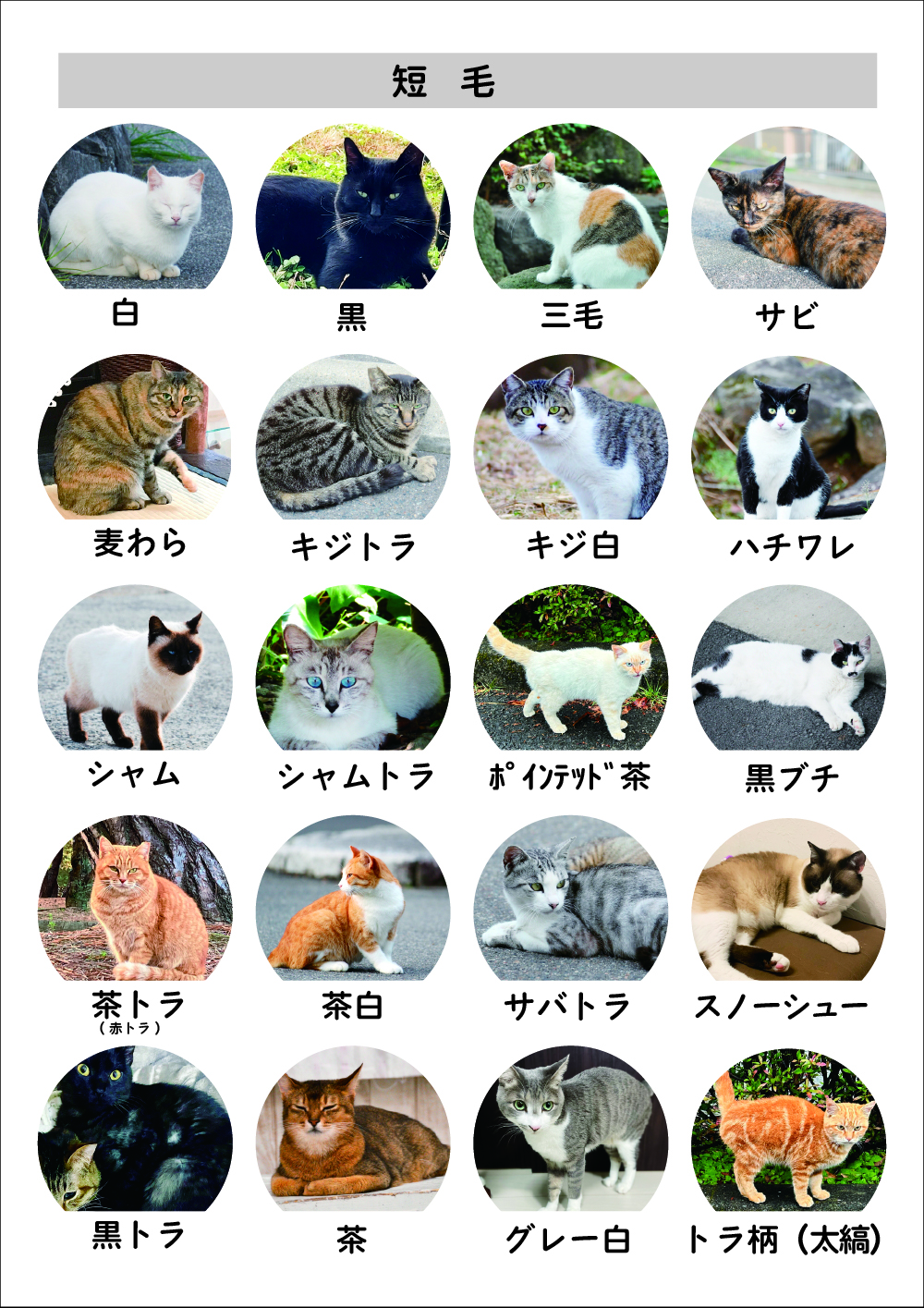 アートボード-14.jpg